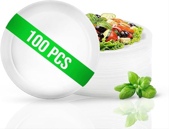 Assiette plastique blanche petit x100