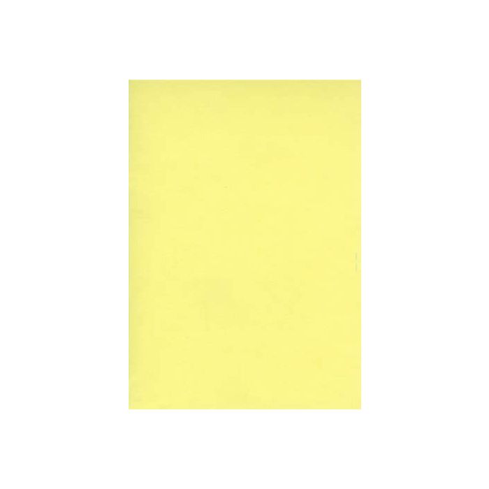 Fiche jaune Bristol A4 (x100)