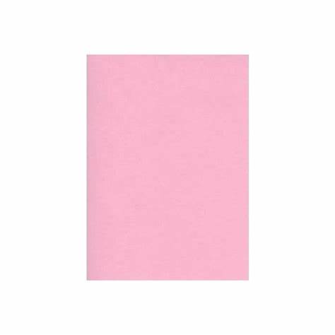 Fiche rose Bristol A4 (x100)