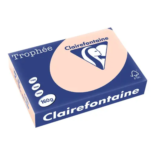 [090202SP] Papier saumon A4/160g - Conditionné en paquets de 50 feuilles 